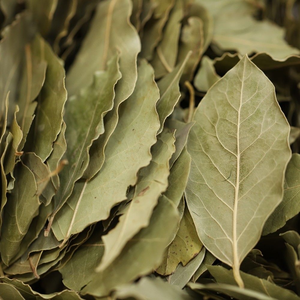bay leaves