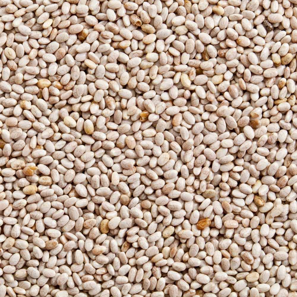 white chia seeds