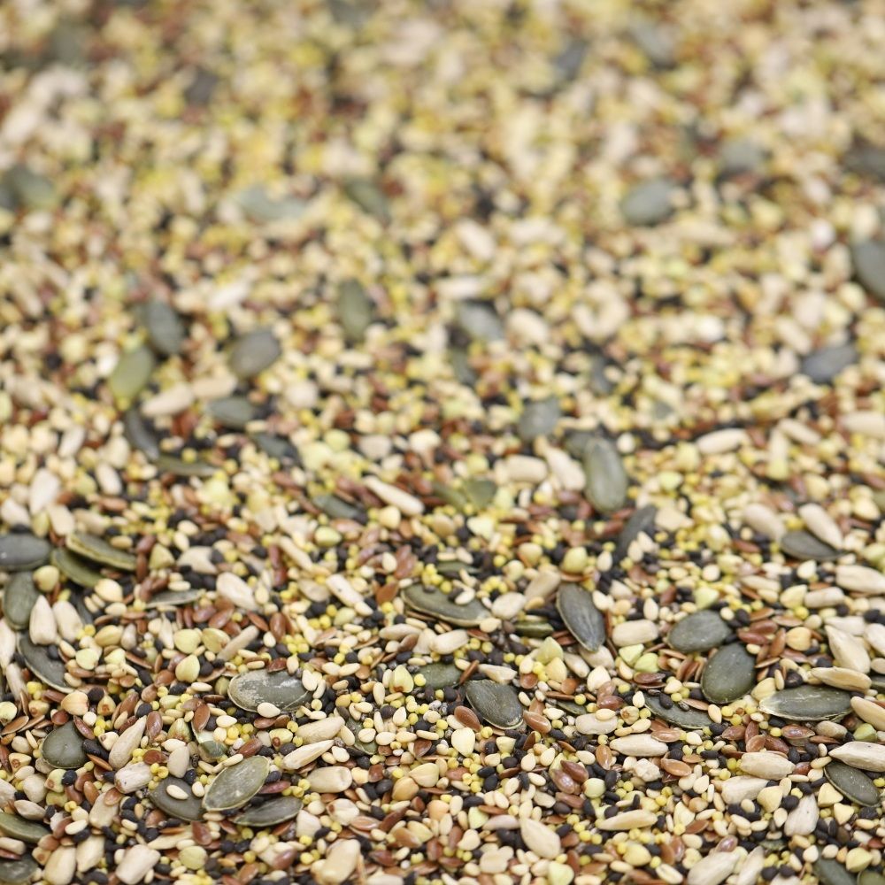 organic seed mix