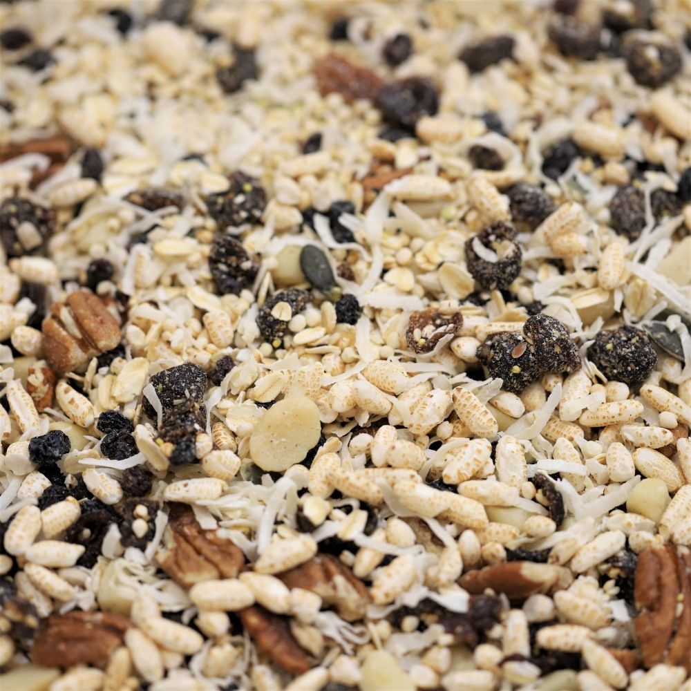 low fodmap and low gi muesli