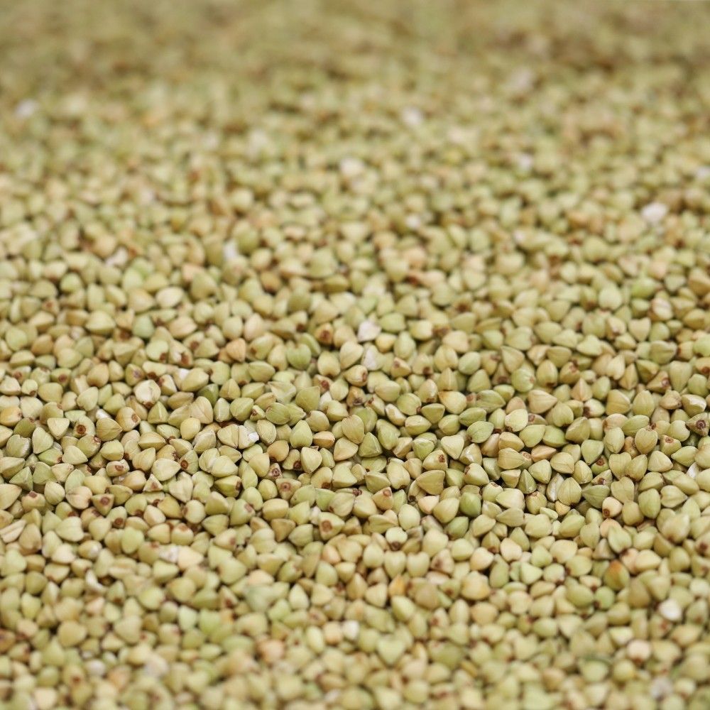 organic activated buckwheat