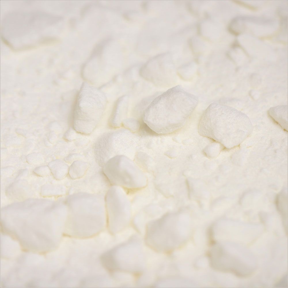 organic coconut milk powder