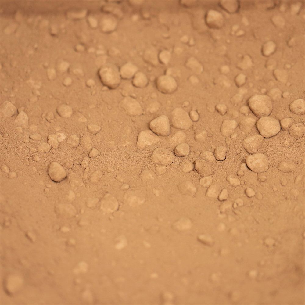 organic raw cacao powder