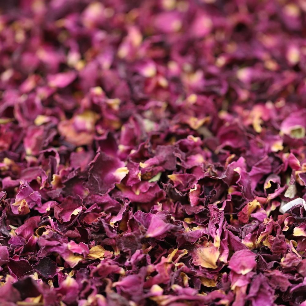 rose petals 