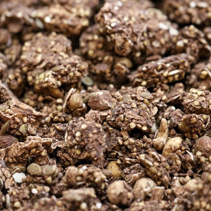 organic cacao hazelnut clusters
