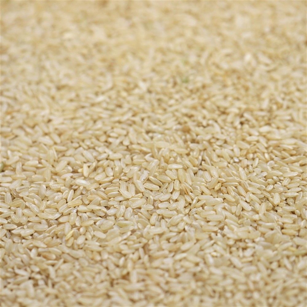 organic brown rice