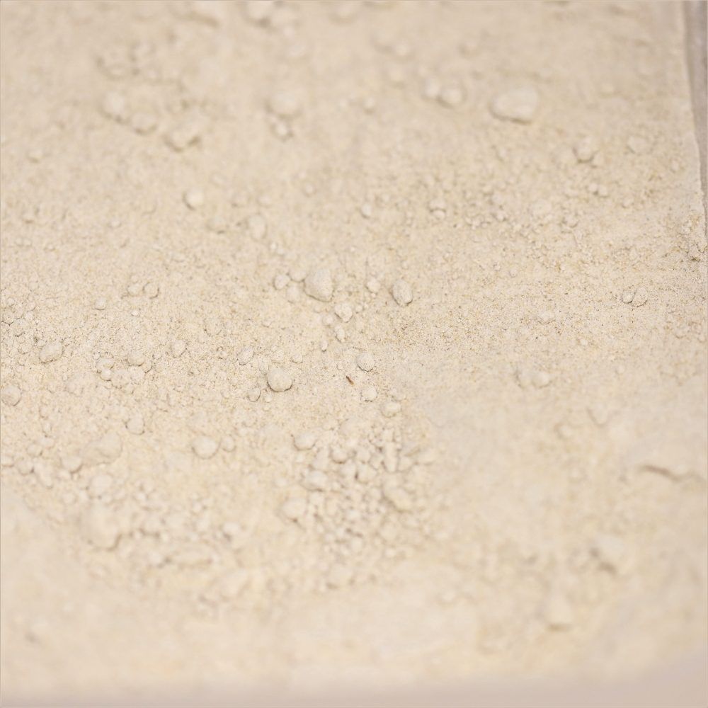 brewer's yeast