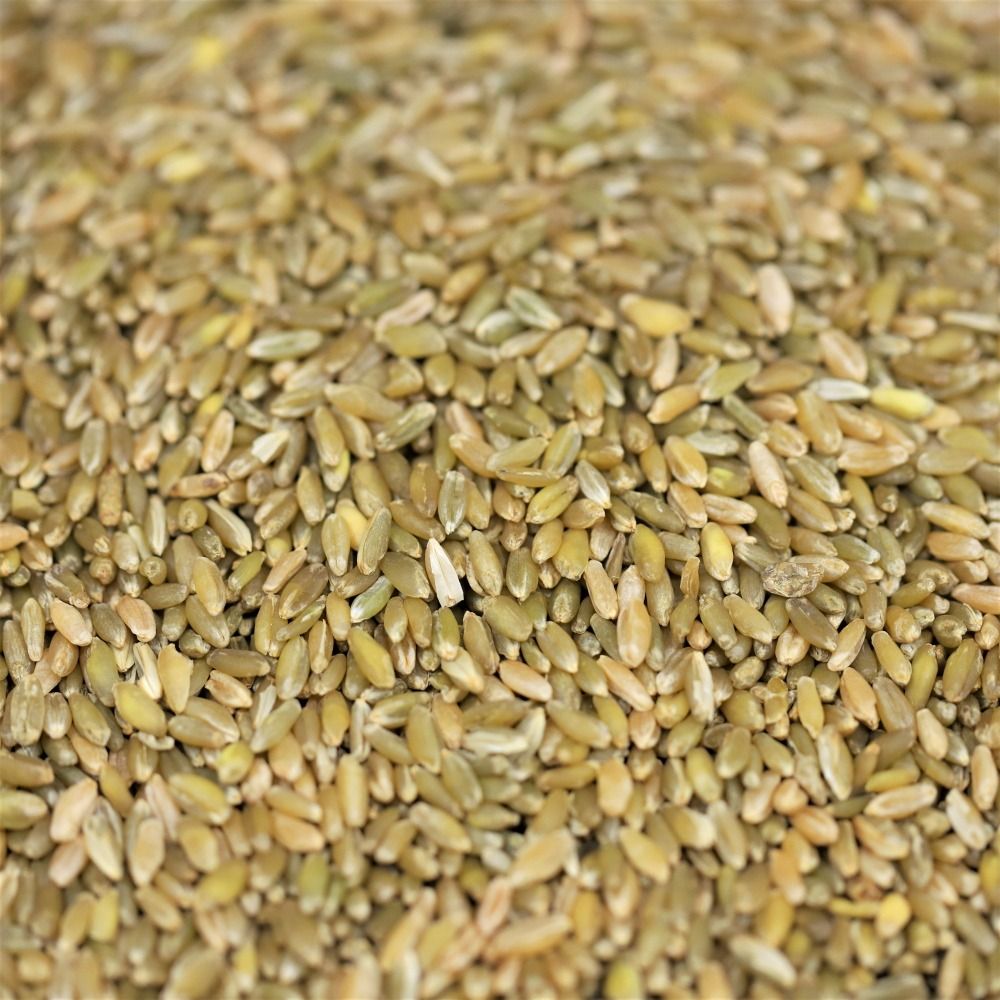 freekeh