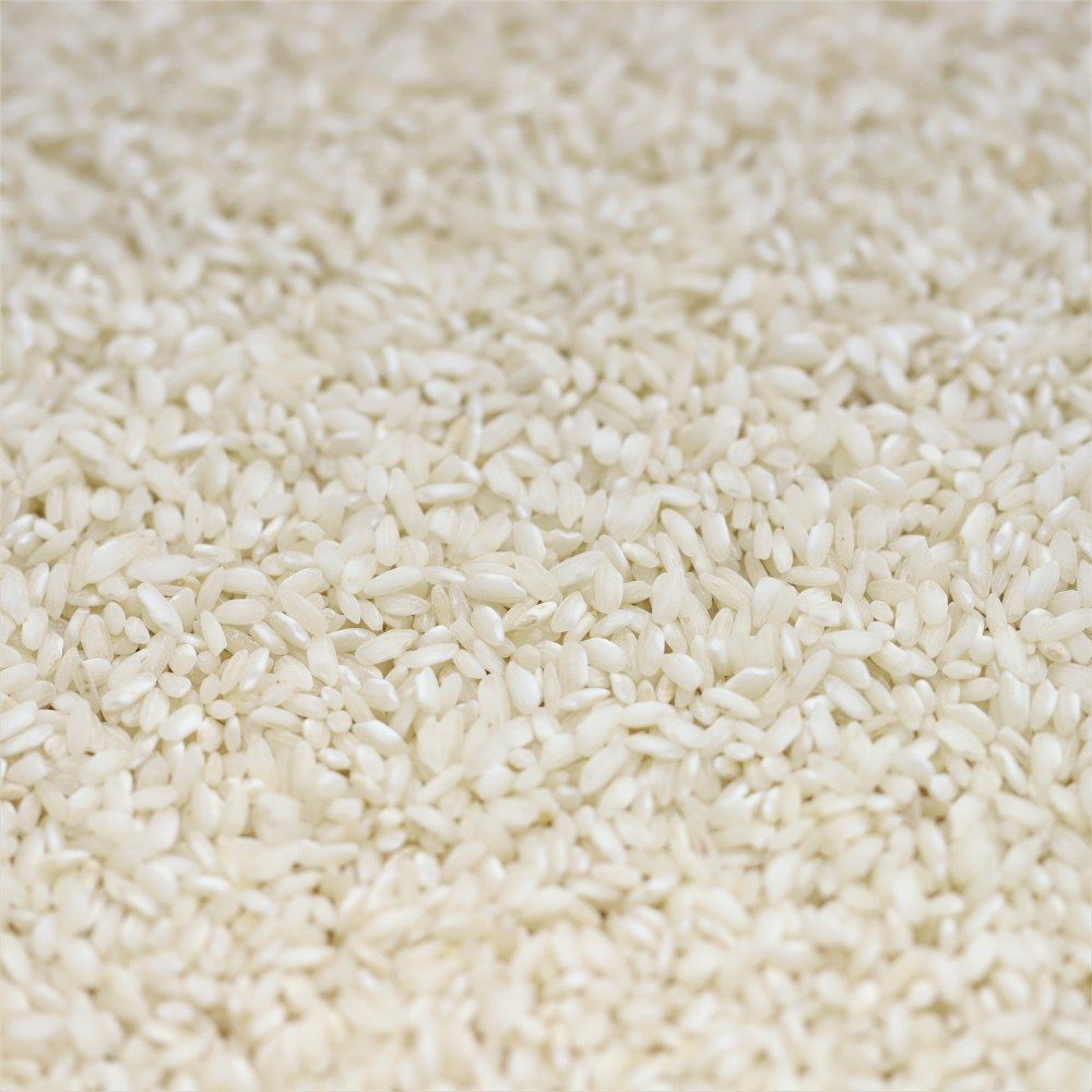 arborio rice