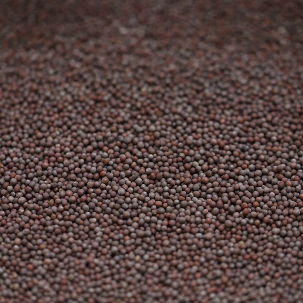 black mustard seeds organic