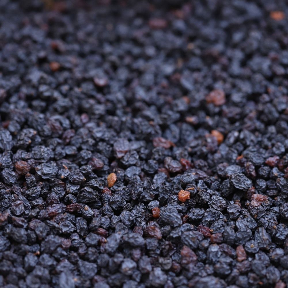 australian currants