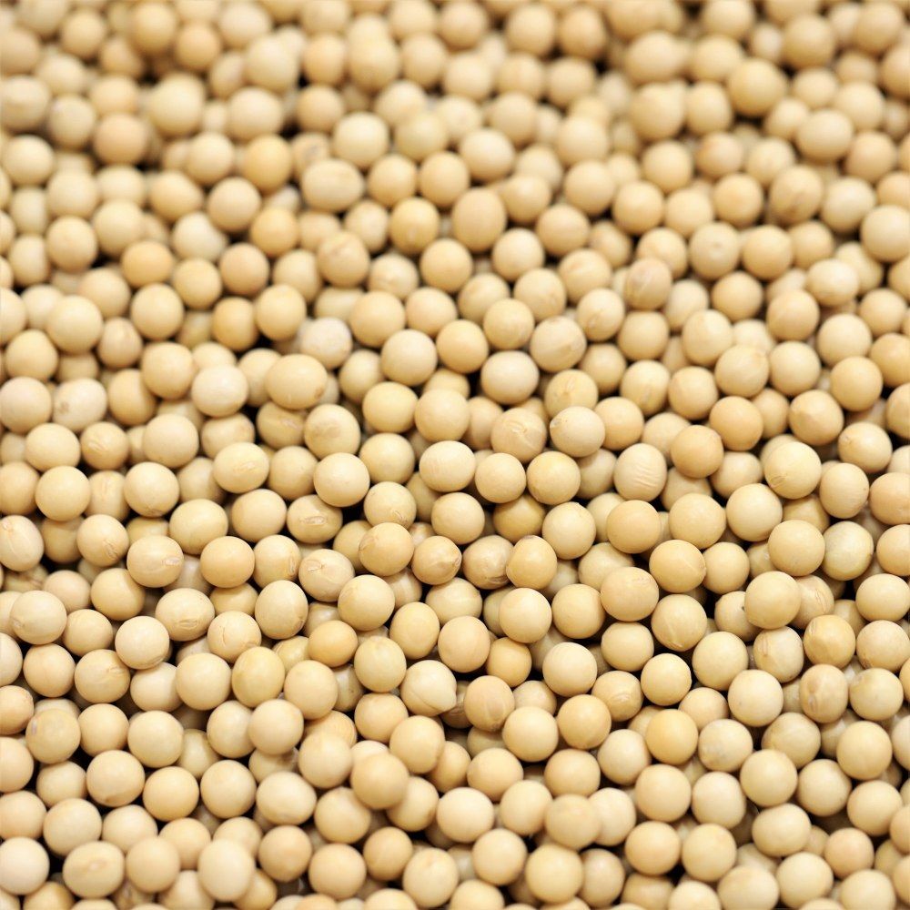organic soya beans