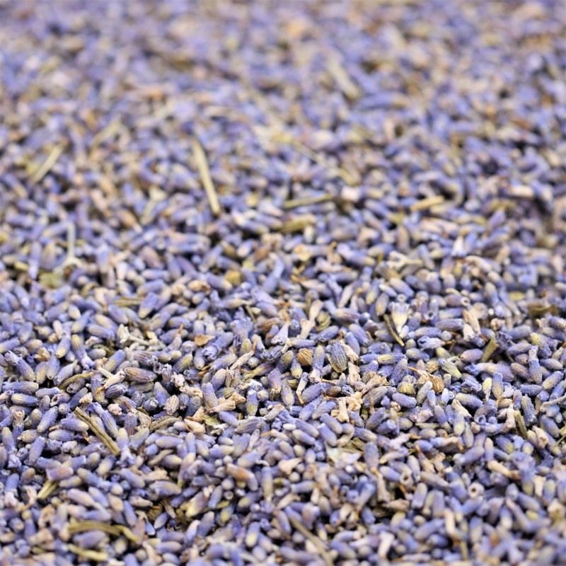 organic lavender