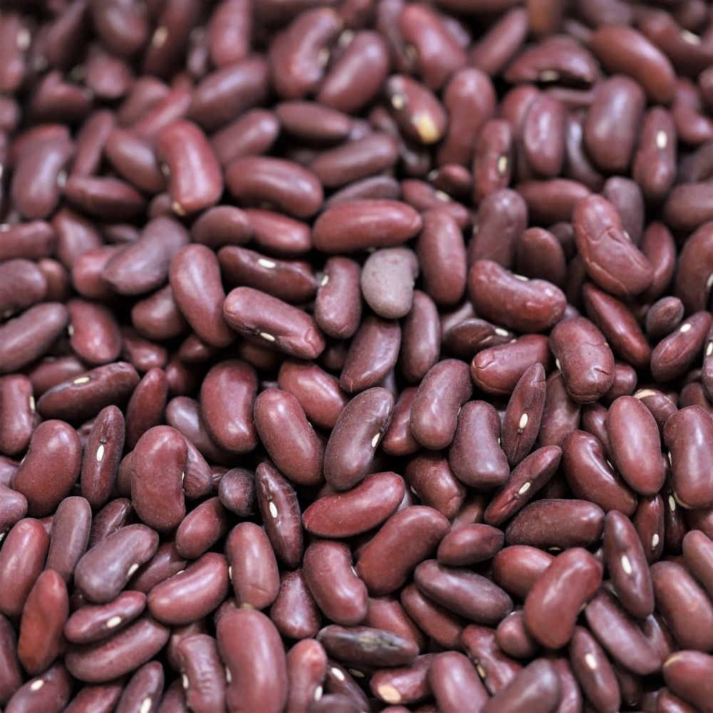 red kidney beans