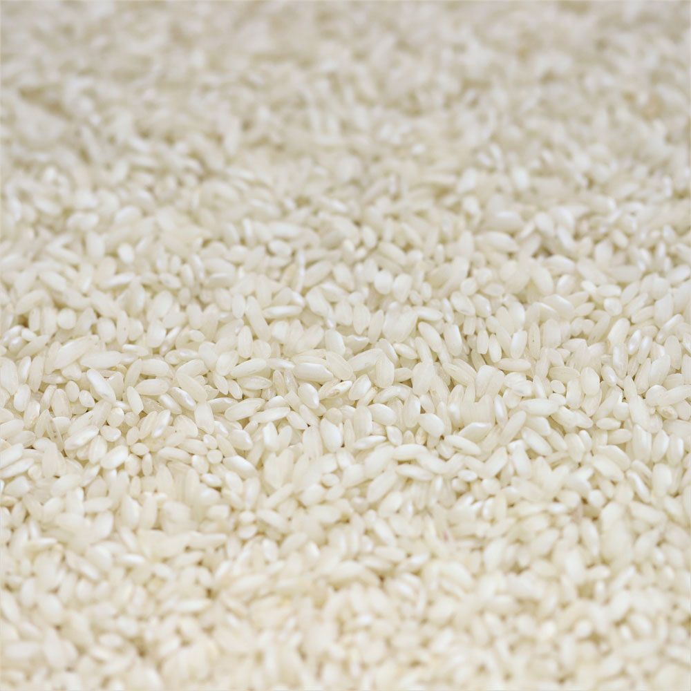 sushi rice