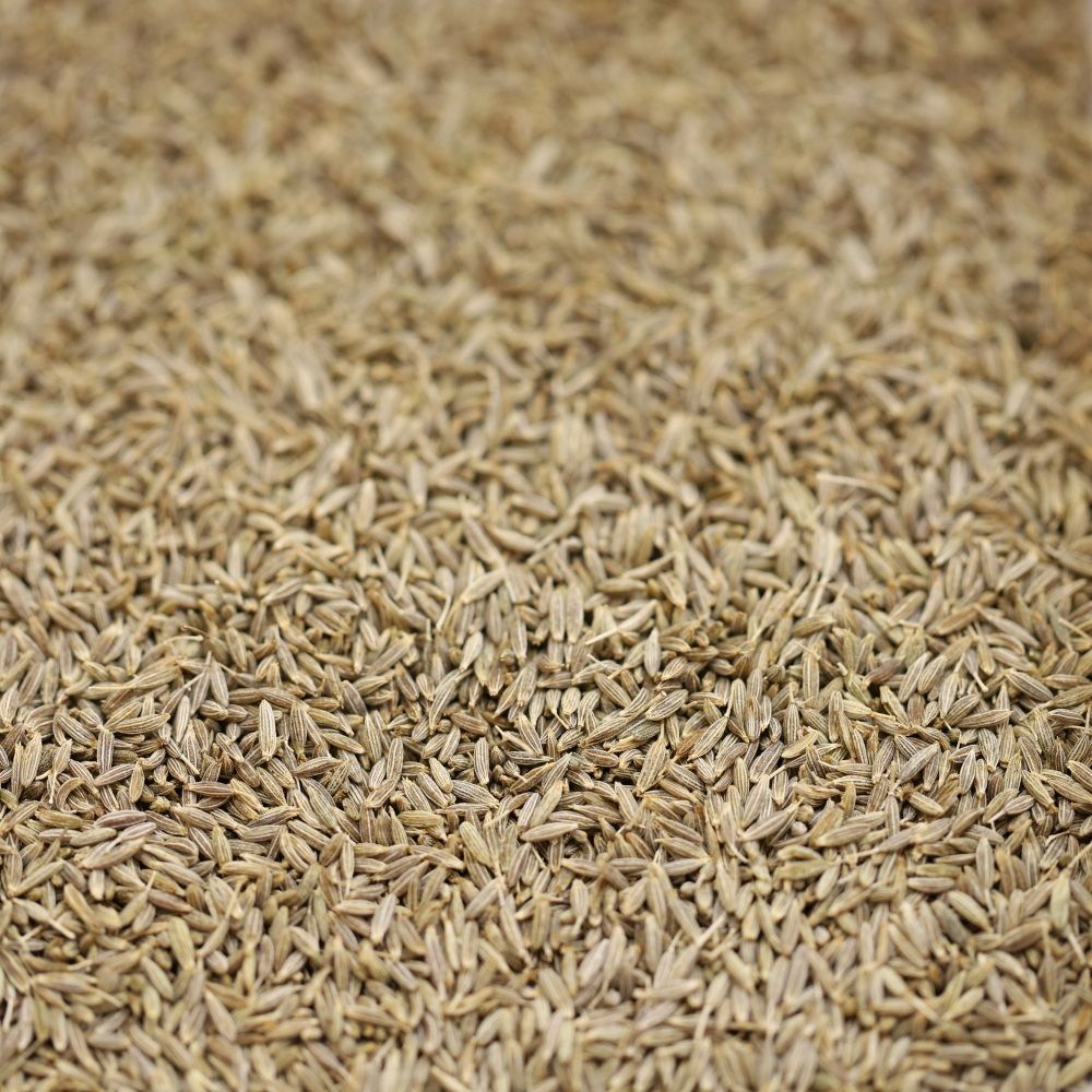 cumin seeds