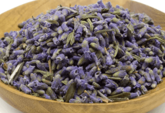 lavender flowers