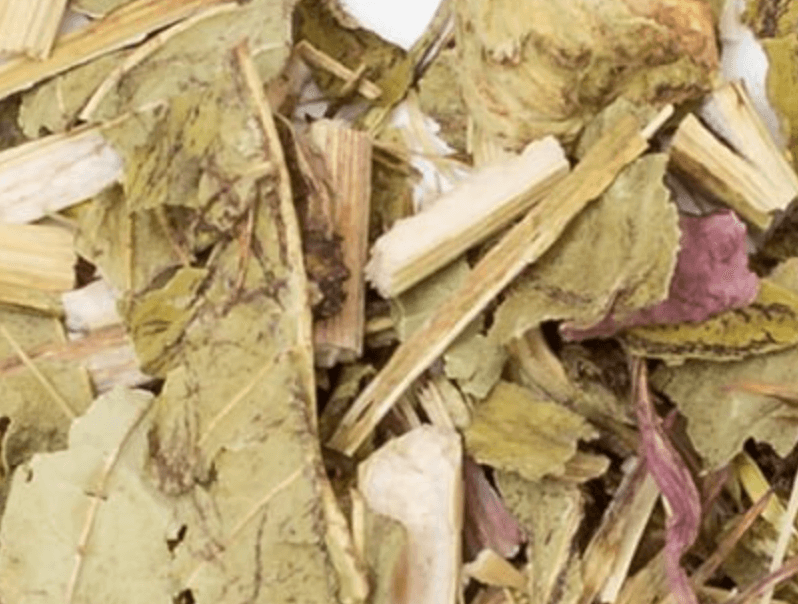organic echinacea tea