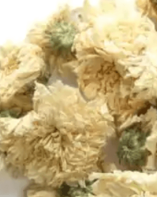 CHRYSANTHEMUM FLOWER TEA