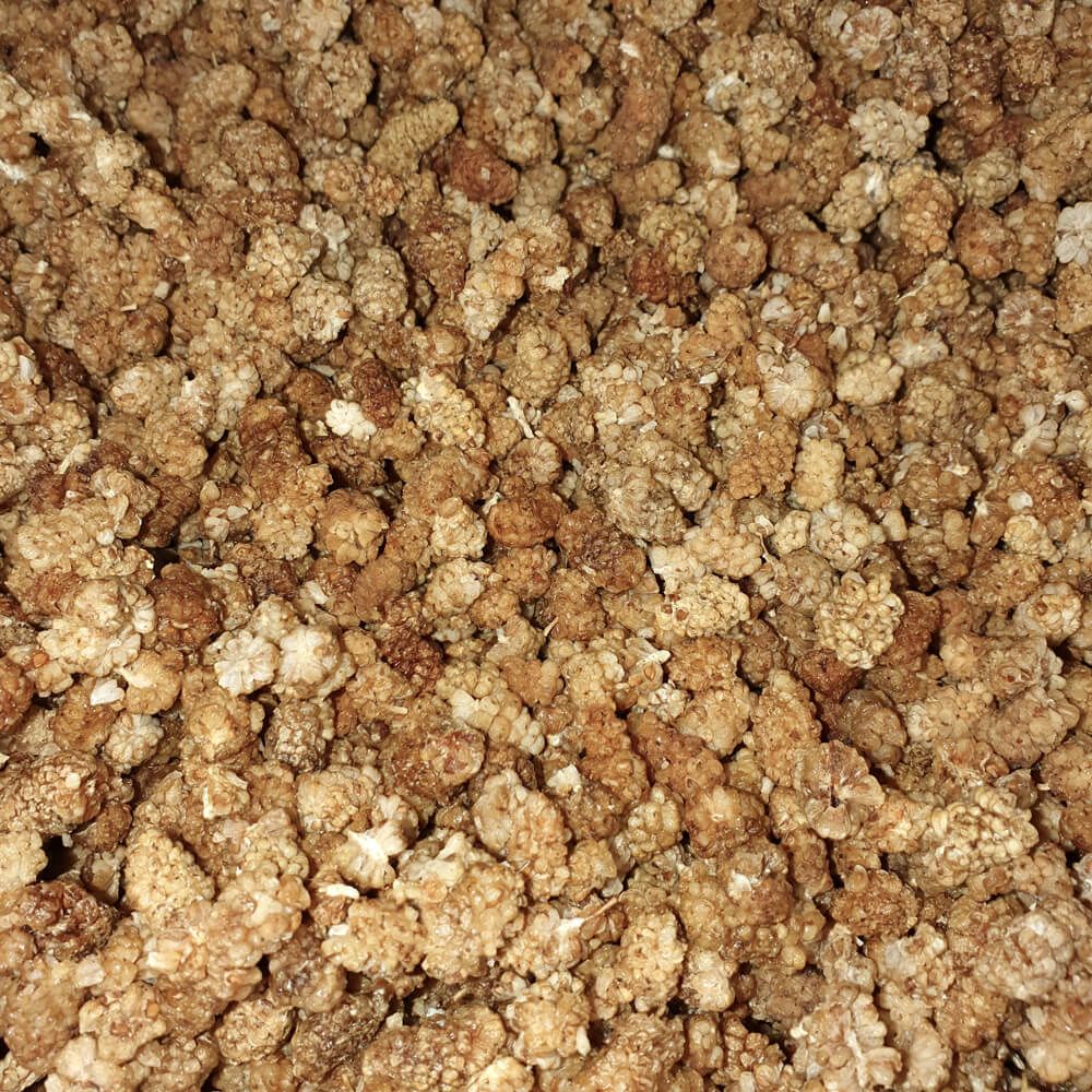 organic white mulberries