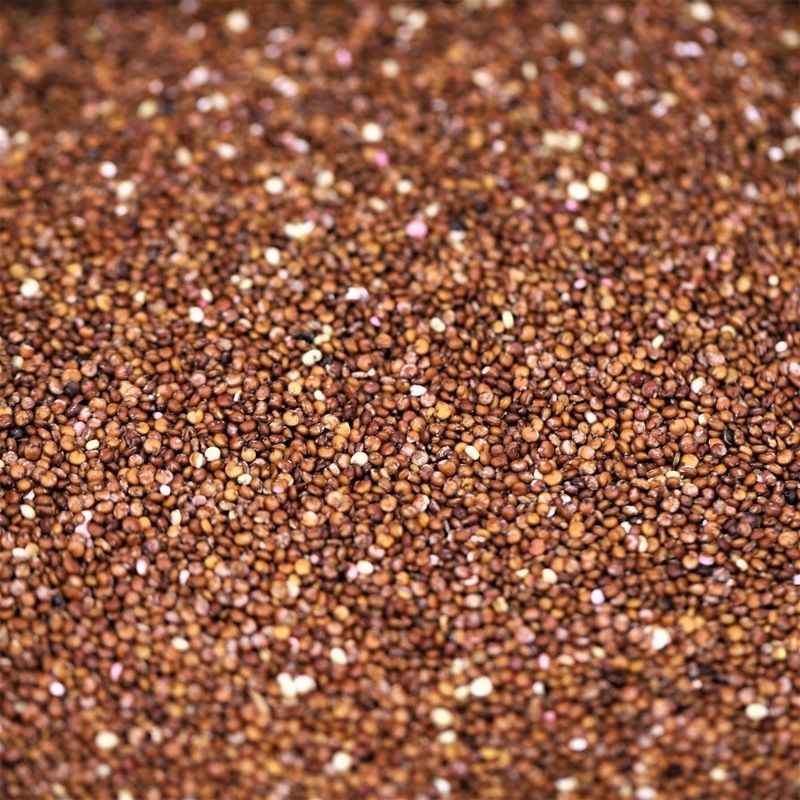 organic red quinoa