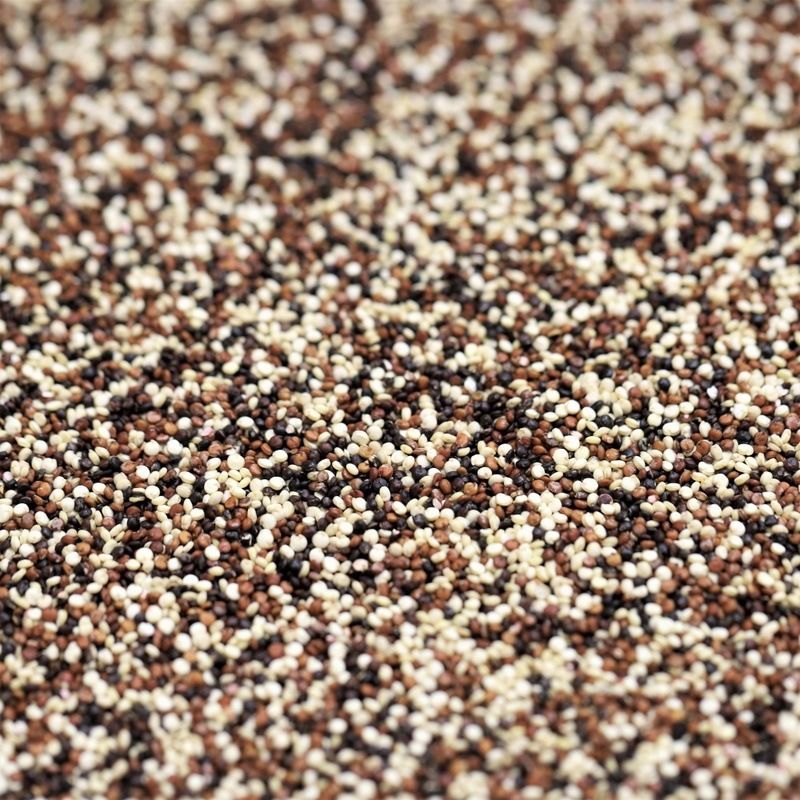 organic tri colour quinoa