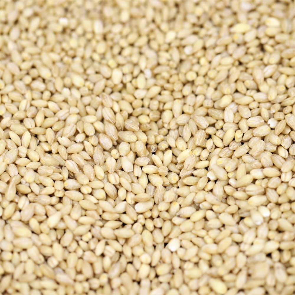 organic pearl barley