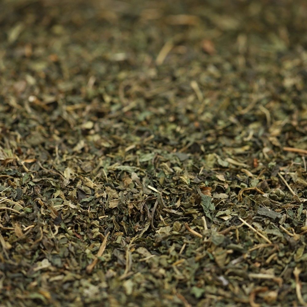 organic nettle leaf