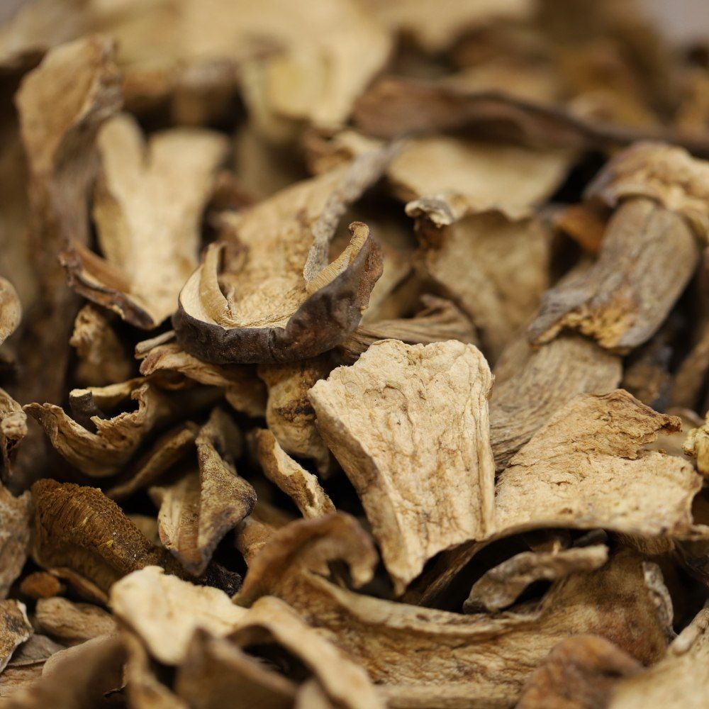 porcini mushrooms
