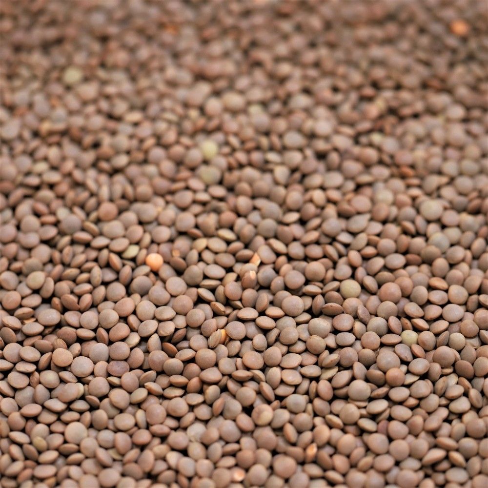 red lentils whole