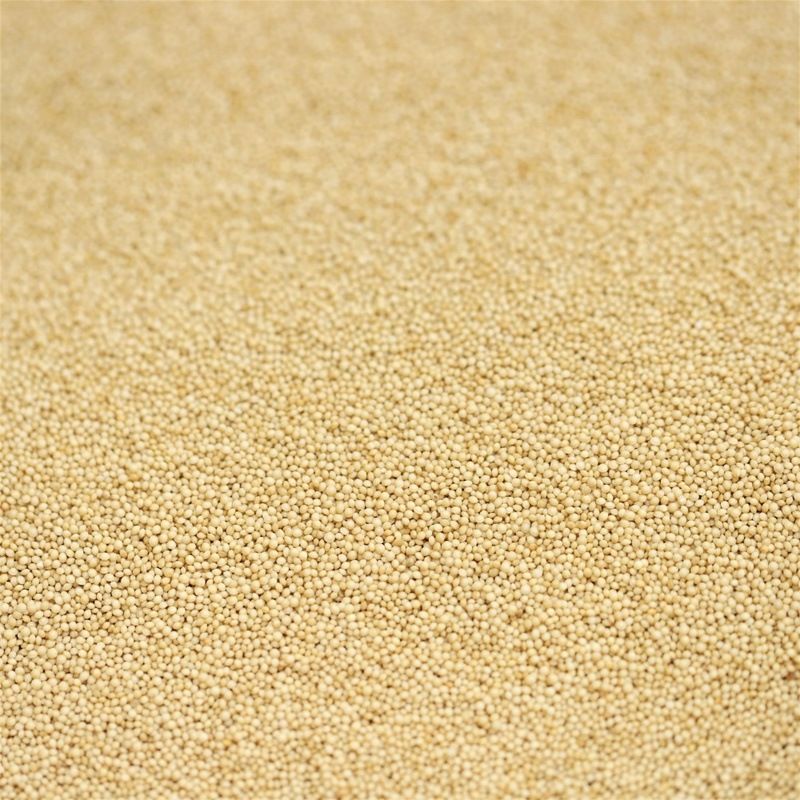 organic amaranth grain