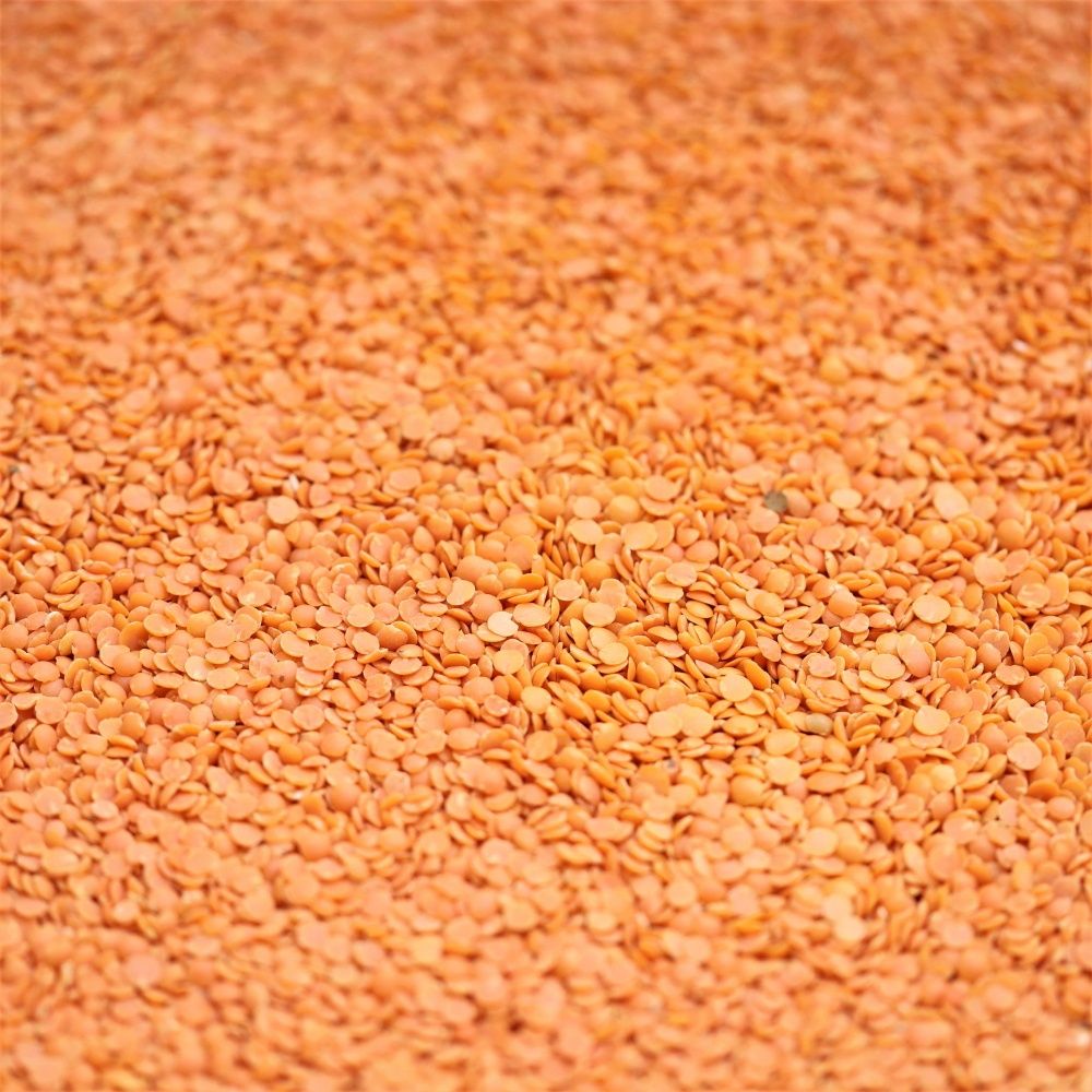 red lentils split