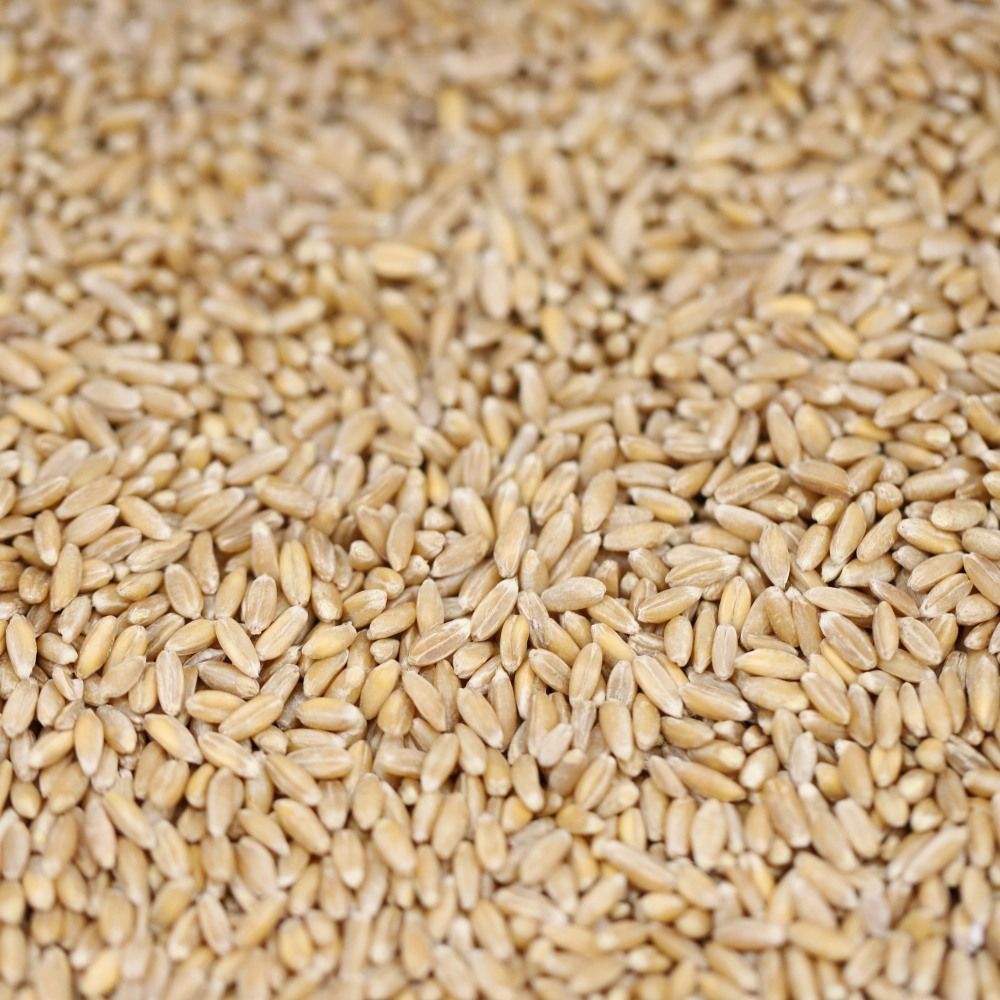 farro