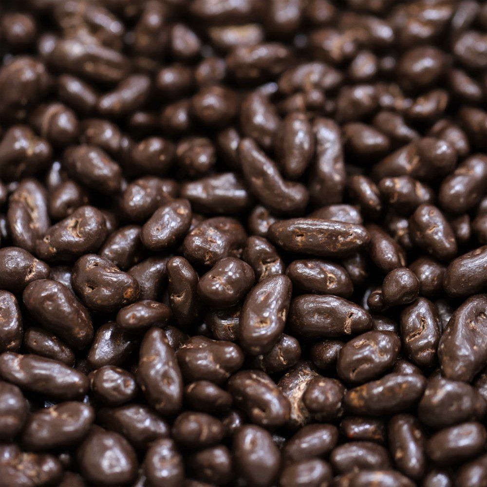 goji berries dark chocolate
