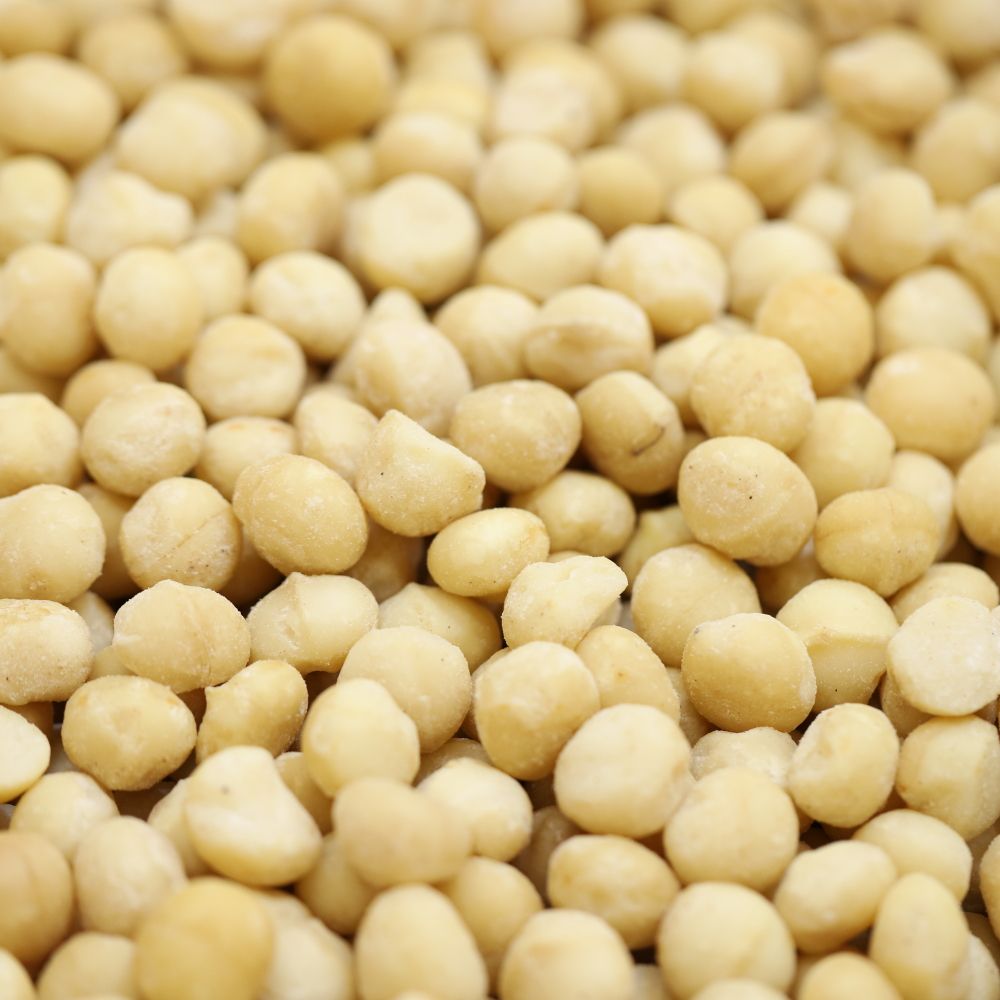 roasted & salted macadamias
