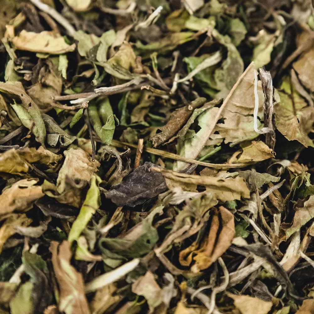 organic white pai mu dan tea