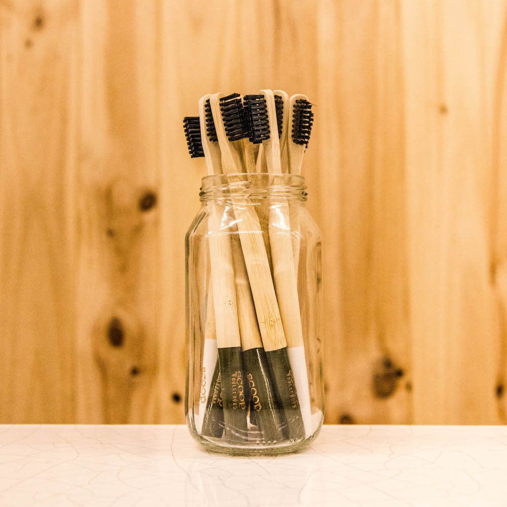 bamboo toothbrushes adult