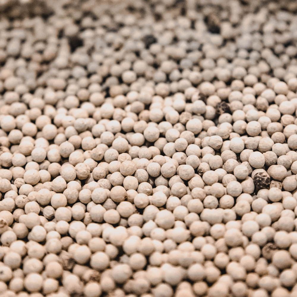 white peppercorns